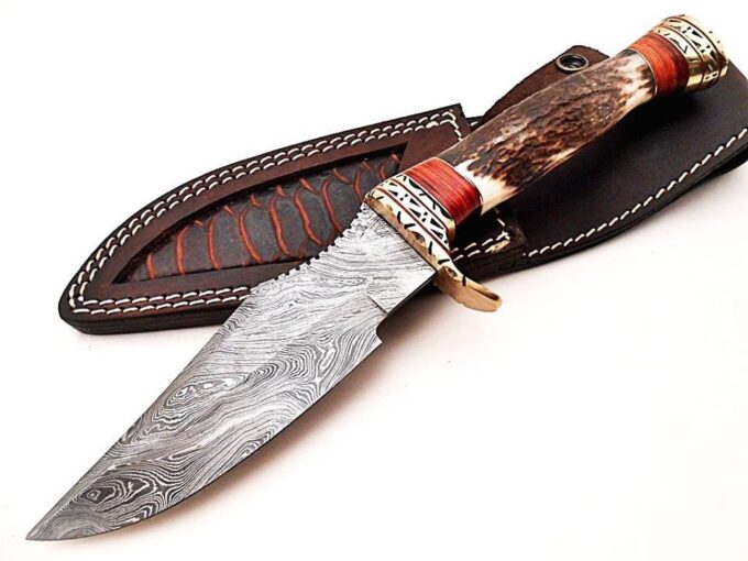 Beautiful-Custom-Handmade-Damascus-Steel-Hunting-Bowie-Knife-Stag-Horn-Handle